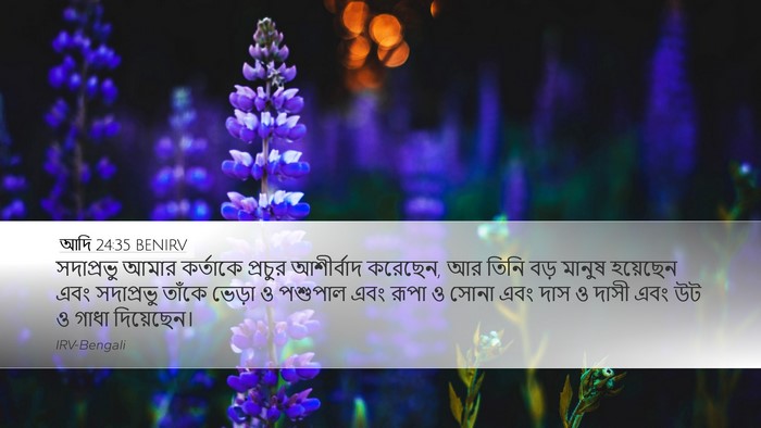 আদি 24:35 BENIRV Bible Verse Image