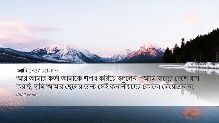 আদি 24:37 BENIRV Bible Verse Image