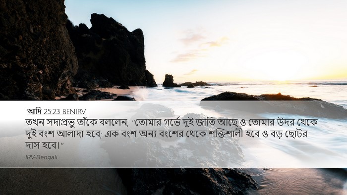 আদি 25:23 BENIRV Bible Verse Image