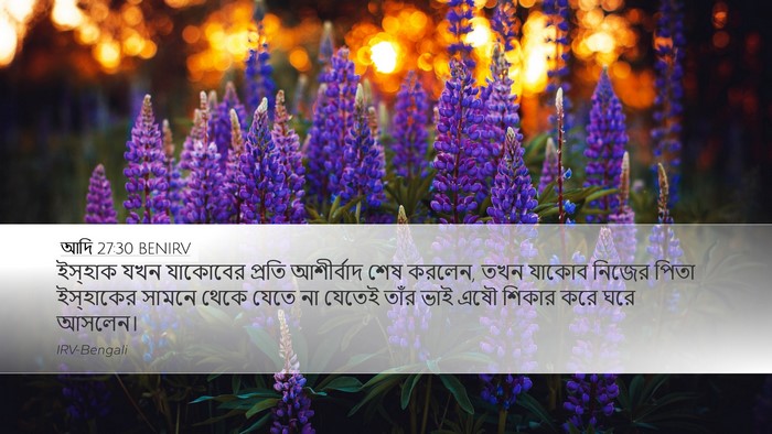 আদি 27:30 BENIRV Bible Verse Image