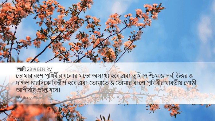 আদি 28:14 BENIRV Bible Verse Image