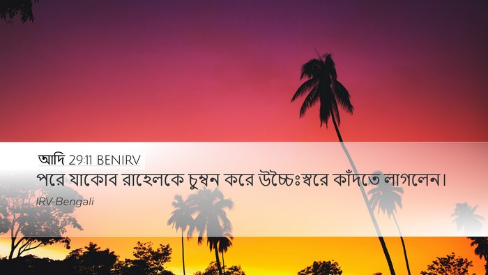 আদি 29:11 BENIRV Bible Verse Image