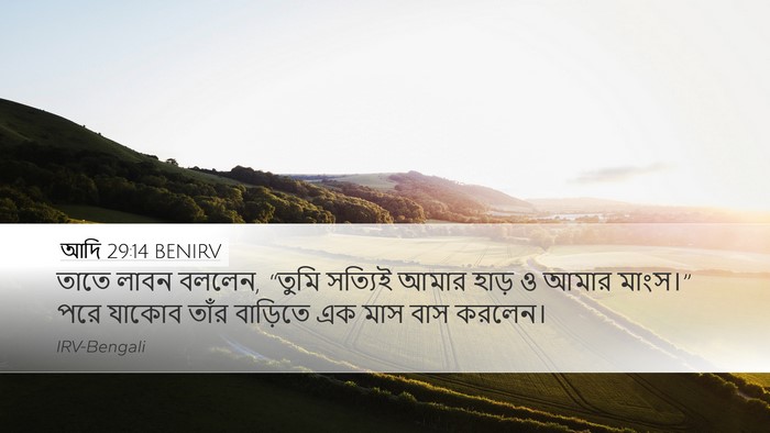 আদি 29:14 BENIRV Bible Verse Image