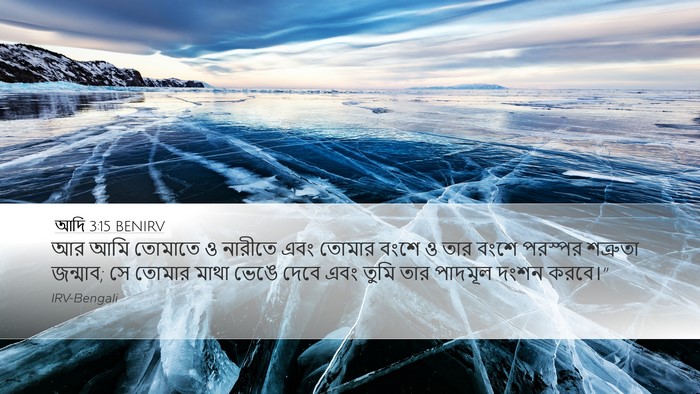 আদি 3:15 BENIRV Bible Verse Image