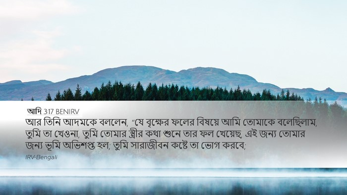 আদি 3:17 BENIRV Bible Verse Image