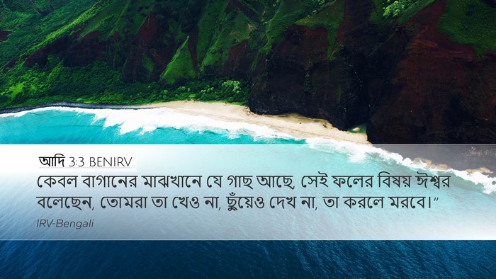 আদি 3:3 BENIRV Bible Verse Image