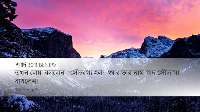 আদি 30:11 BENIRV Bible Verse Image