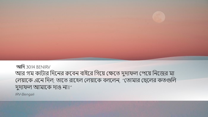 আদি 30:14 BENIRV Bible Verse Image