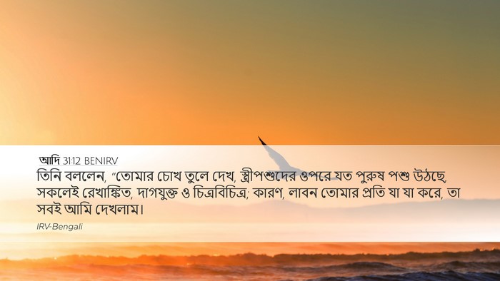 আদি 31:12 BENIRV Desktop Wallpaper - তিনি বললেন, “তোমার - Desktop Bible Verse Wallpaper