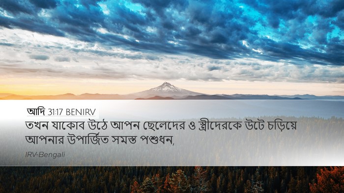 আদি 31:17 BENIRV Desktop Wallpaper - তখন যাকোব উঠে আপন - Desktop Bible Verse Wallpaper
