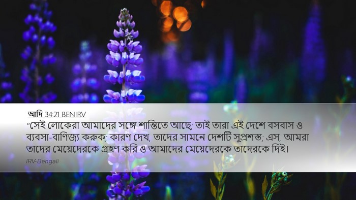 আদি 34:21 BENIRV Bible Verse Image