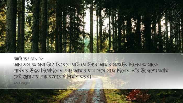 আদি 35:3 BENIRV Bible Verse Image