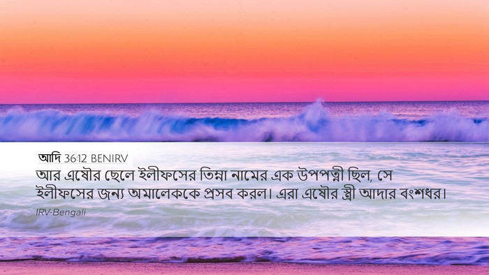 আদি 36:12 BENIRV Bible Verse Image