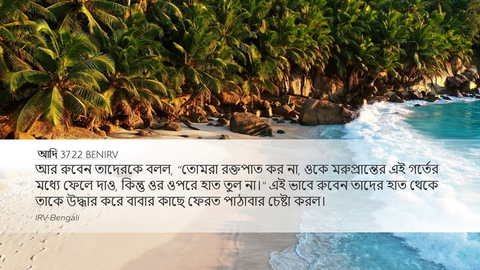 আদি 37:22 BENIRV Bible Verse Image