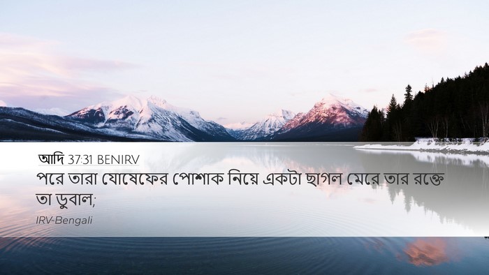 আদি 37:31 BENIRV Desktop Wallpaper - পরে তারা যোষেফের - Desktop Bible Verse Wallpaper
