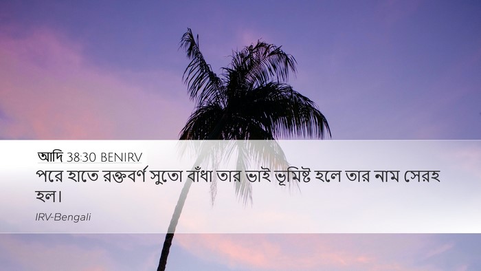 আদি 38:30 BENIRV Bible Verse Image
