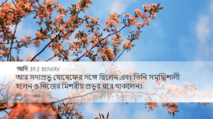 আদি 39:2 BENIRV Bible Verse Image