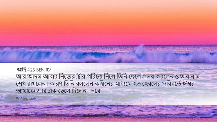 আদি 4:25 BENIRV Bible Verse Image