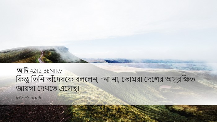 আদি 42:12 BENIRV Bible Verse Image