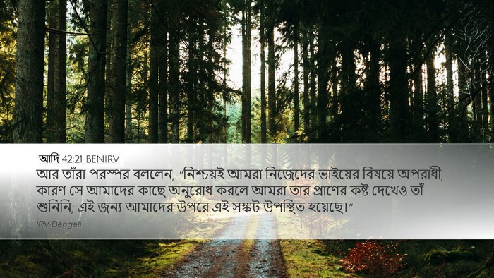 আদি 42:21 BENIRV Bible Verse Image