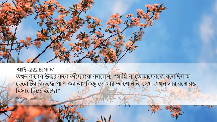 আদি 42:22 BENIRV Bible Verse Image