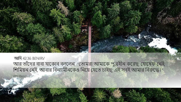 আদি 42:36 BENIRV Bible Verse Image