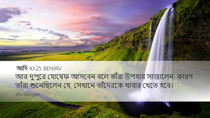 আদি 43:25 BENIRV Bible Verse Image