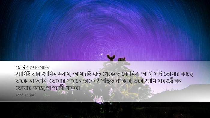 আদি 43:9 BENIRV Bible Verse Image