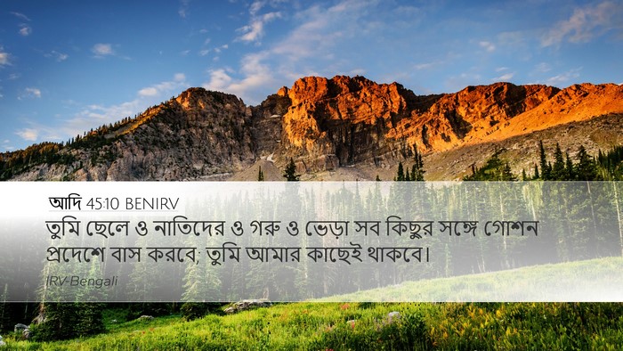 আদি 45:10 BENIRV Bible Verse Image