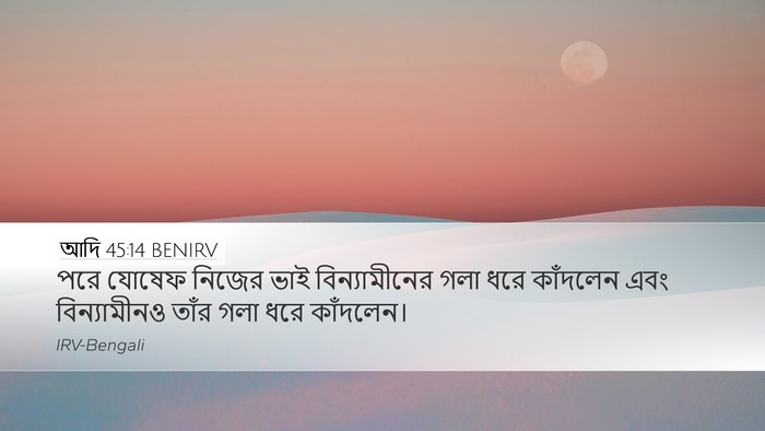 আদি 45:14 BENIRV Bible Verse Image