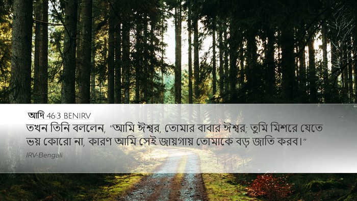 আদি 46:3 BENIRV Bible Verse Image