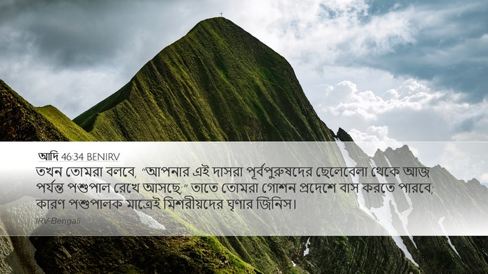 আদি 46:34 BENIRV Bible Verse Image