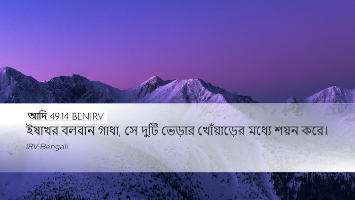 আদি 49:14 BENIRV Bible Verse Image