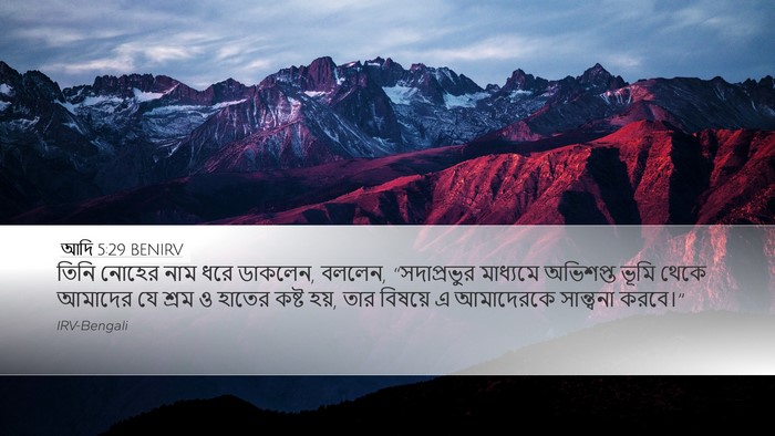 আদি 5:29 BENIRV Bible Verse Image