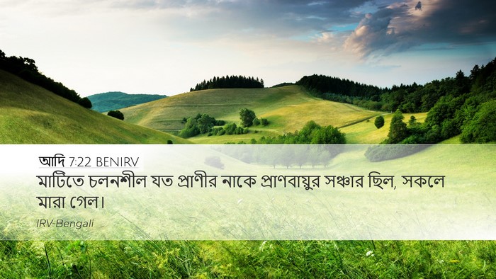 আদি 7:22 BENIRV Desktop Wallpaper - মাটিতে চলনশীল যত - Desktop Bible Verse Wallpaper