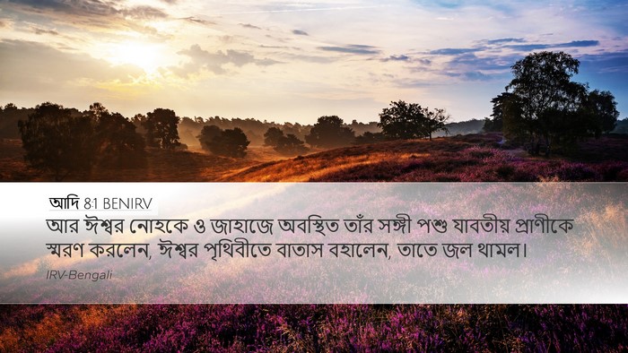 আদি 8:1 BENIRV Desktop Wallpaper - আর ঈশ্বর নোহকে ও - Desktop Bible Verse Wallpaper