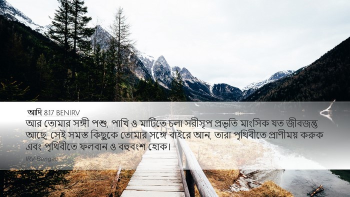 আদি 8:17 BENIRV Bible Verse Image