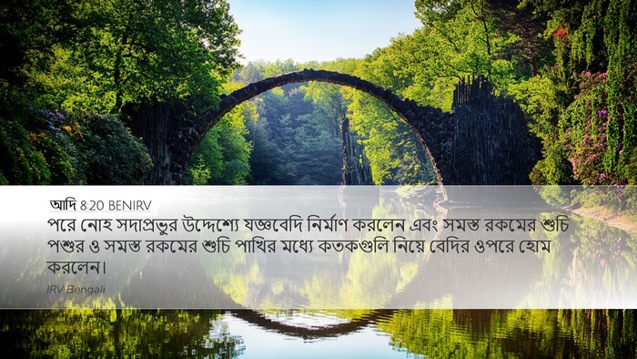 আদি 8:20 BENIRV Bible Verse Image