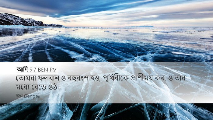 আদি 9:7 BENIRV Bible Verse Image