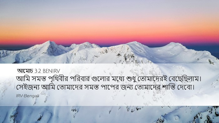 আমোচ 3:2 BENIRV Bible Verse Image