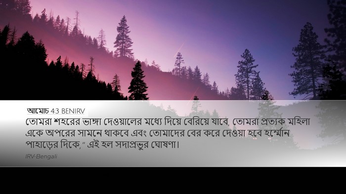 আমোচ 4:3 BENIRV Desktop Wallpaper - তোমরা শহরের - Desktop Bible Verse Wallpaper