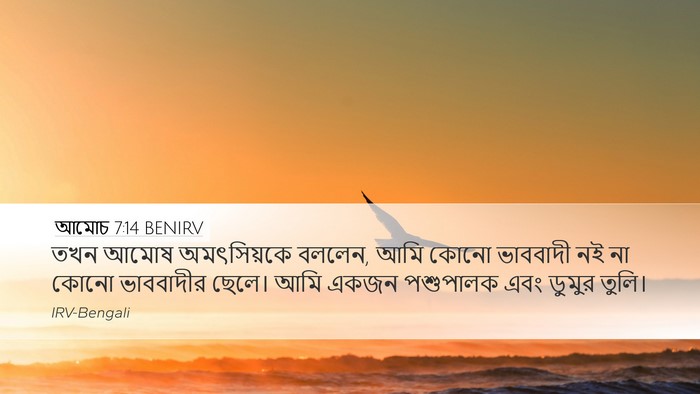 আমোচ 7:14 BENIRV Bible Verse Image