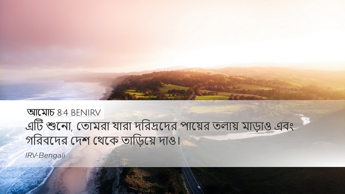 আমোচ 8:4 BENIRV Bible Verse Image
