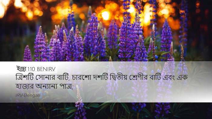ইজ্ৰা 1:10 BENIRV Desktop Wallpaper - ত্রিশটি সোনার - Desktop Bible Verse Wallpaper