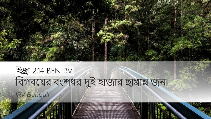 ইজ্ৰা 2:14 BENIRV Bible Verse Image
