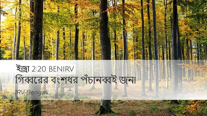 ইজ্ৰা 2:20 BENIRV Desktop Wallpaper - গিব্বরের বংশধর - Desktop Bible Verse Wallpaper