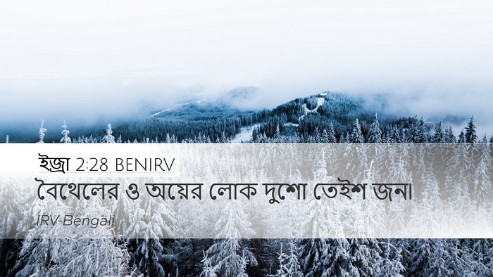 ইজ্ৰা 2:28 BENIRV Bible Verse Image