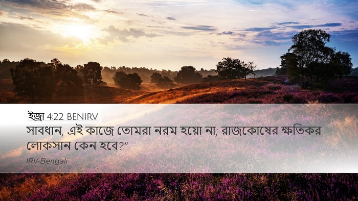 ইজ্ৰা 4:22 BENIRV Bible Verse Image