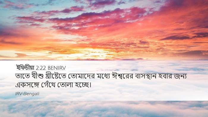 ইফিচীয়া 2:22 BENIRV Bible Verse Image