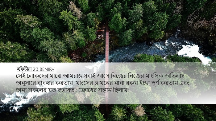 ইফিচীয়া 2:3 BENIRV Bible Verse Image